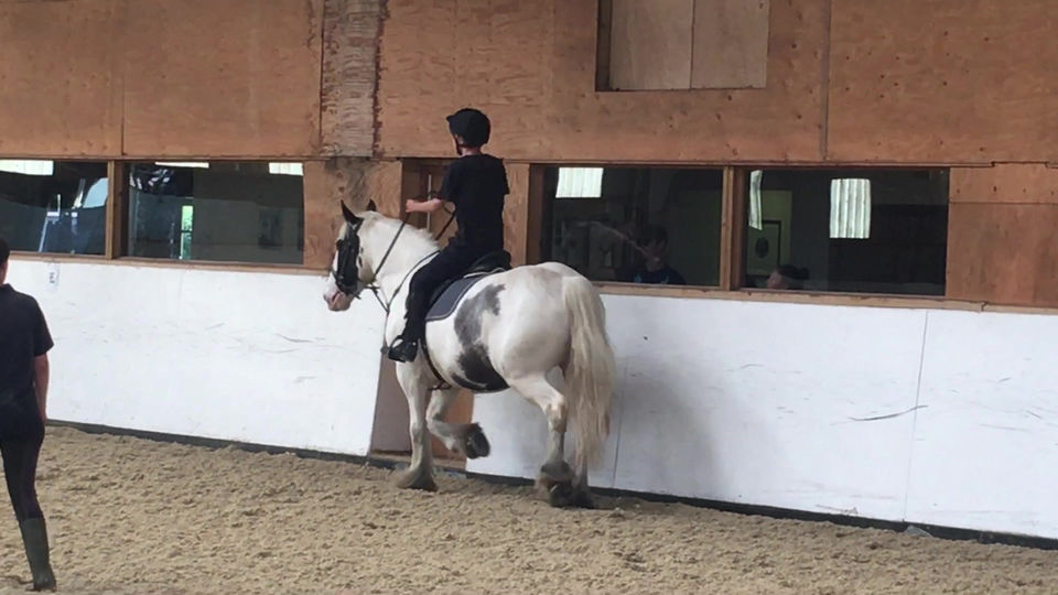 Riding Lesson - Trotting